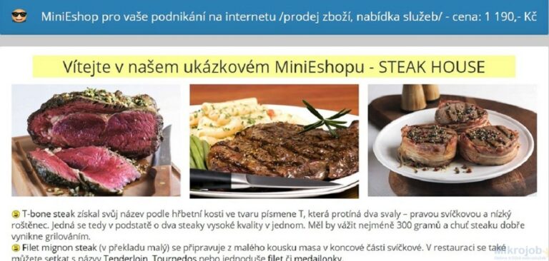 Mini eshop, jednoproduktový eshop, rozvoz jídel, …