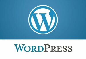 2200Vyčištění WordPressu, zrychlení a zabezpečení