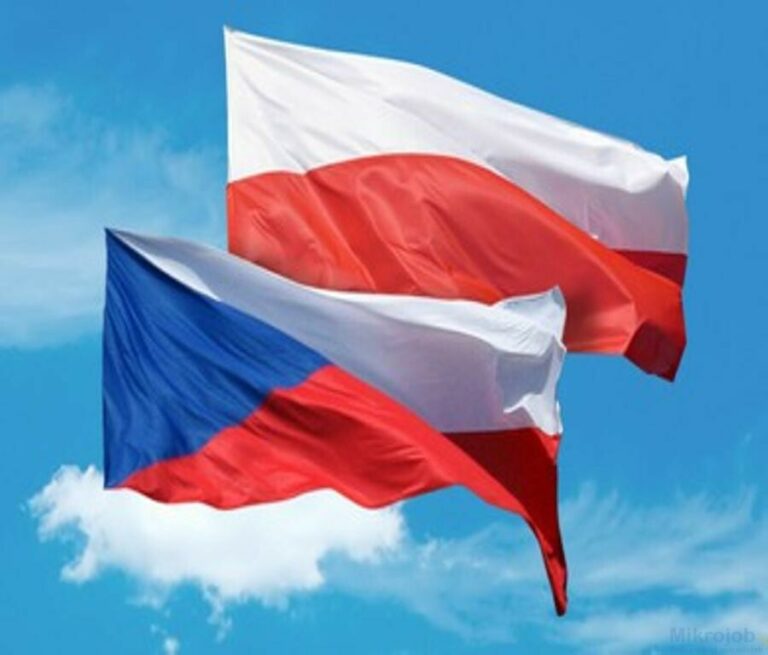 Překlady do polštiny (z češtiny, angličtiny a ze slovenštiny)