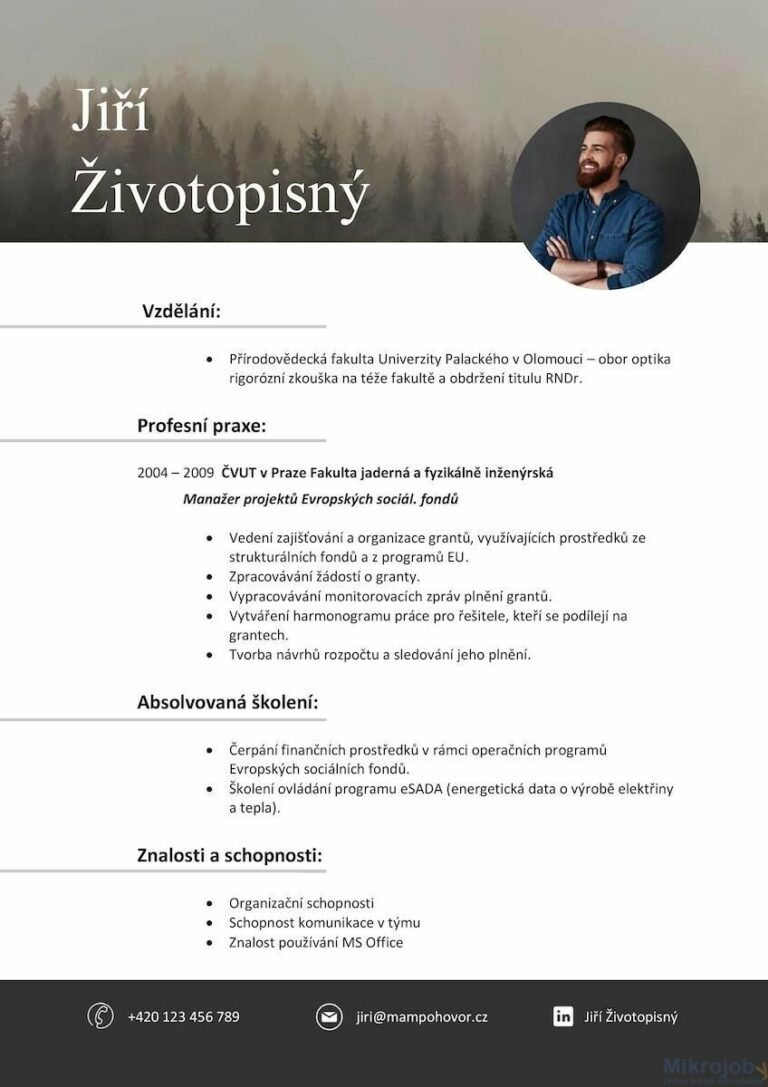 Webky,loga,grafika,překlady, design