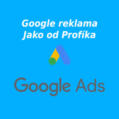 20965Google Ads (Adwords) kampaň od profíka